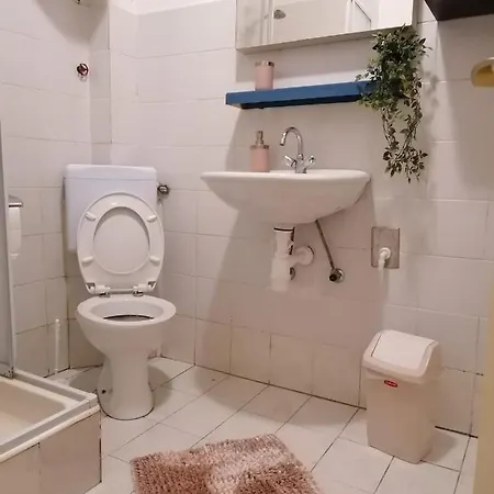 Jela Traù